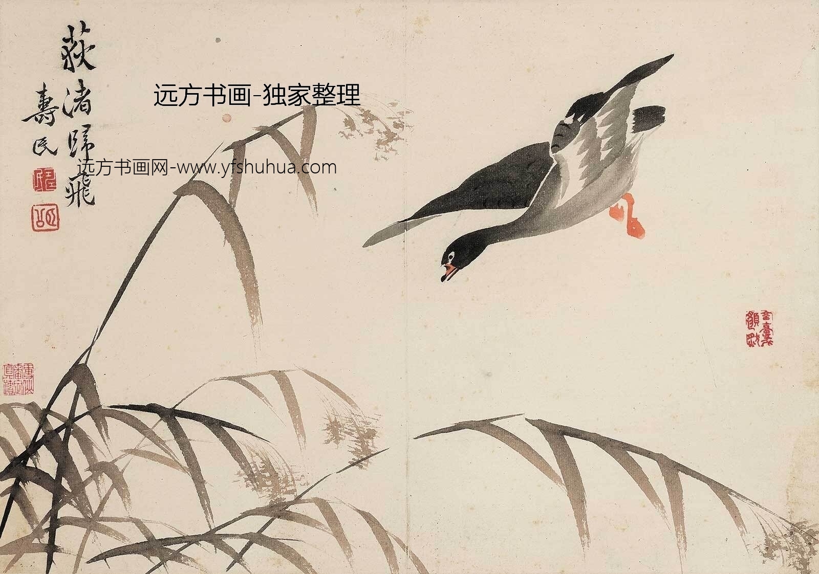 清朝代【边寿民】《杂画十开-10开（13张）》TIF高清大图中国画古画素材下载