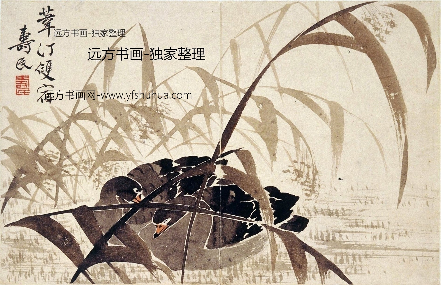 清朝代【边寿民】《芦雁图册（八开）》TIF高清大图中国画古画素材下载