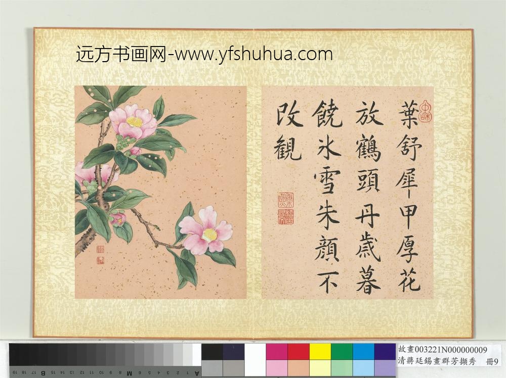 清蒋廷锡画群芳撷秀册茶花