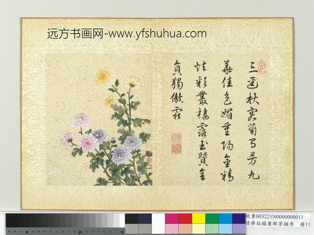 清蒋廷锡画群芳撷秀册菊花_