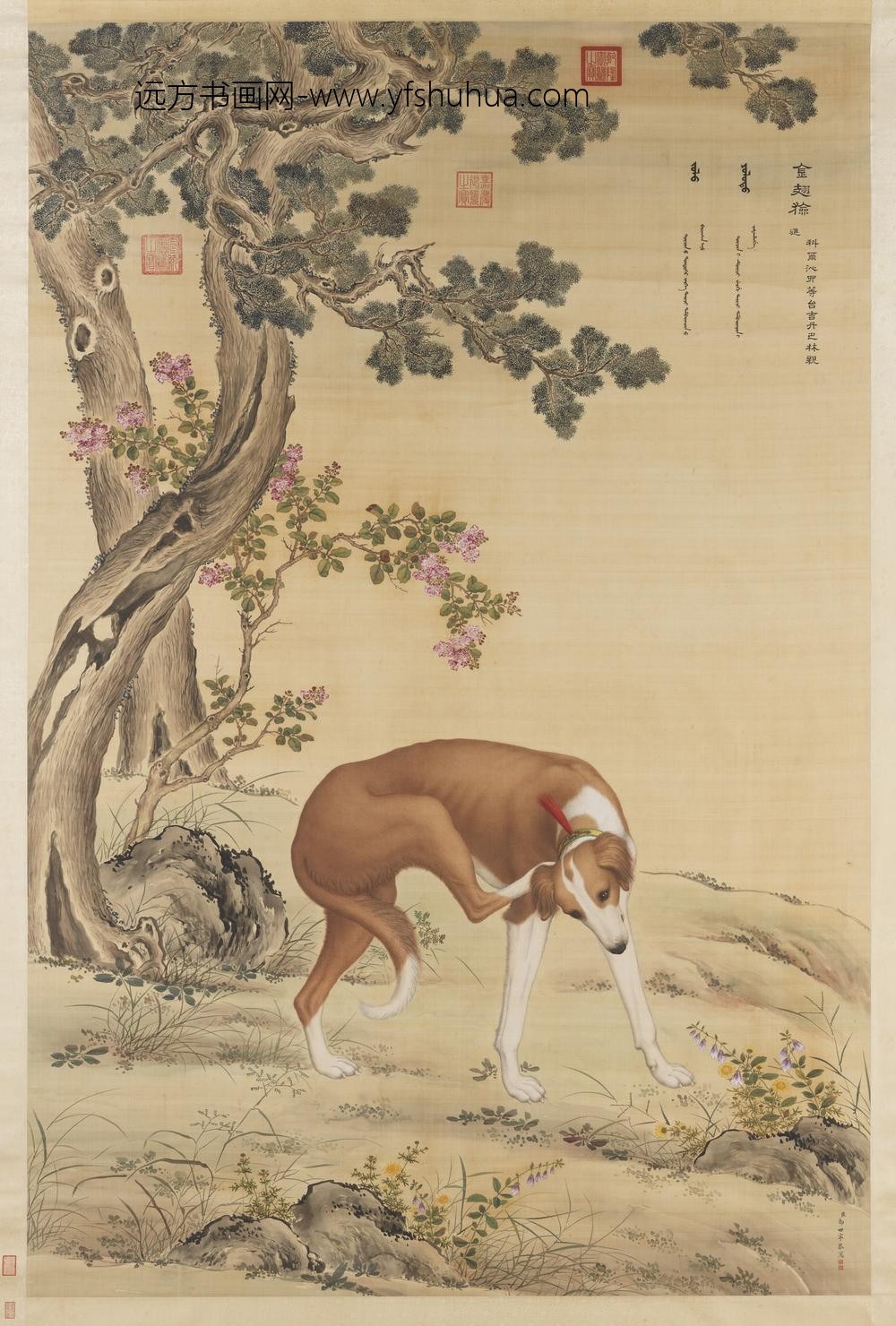 清郎世宁十骏犬金翅猃轴