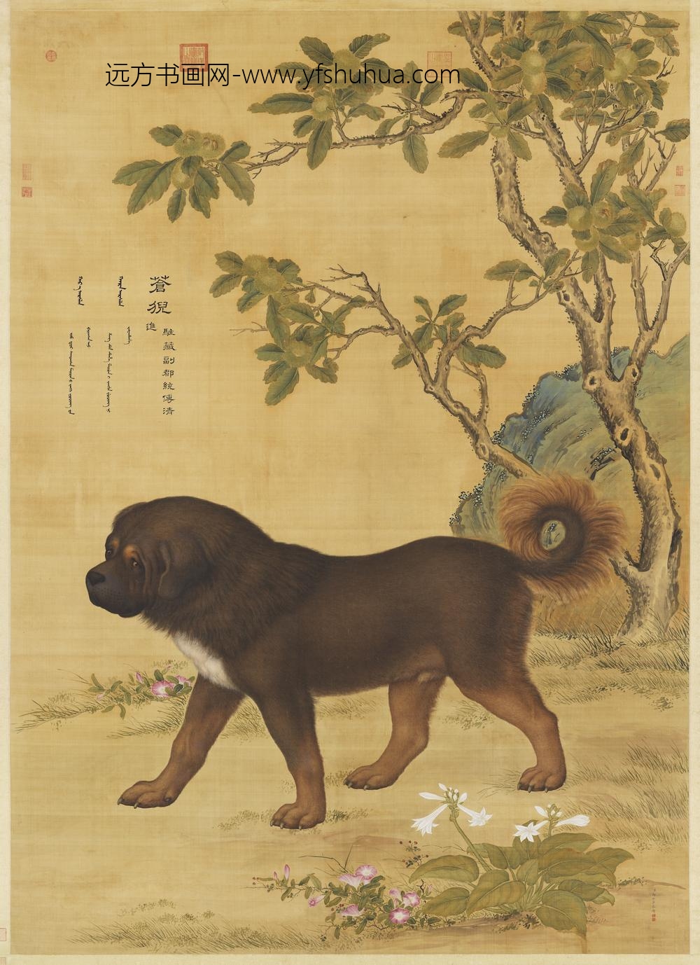 清郎世宁画十骏犬苍猊犬轴