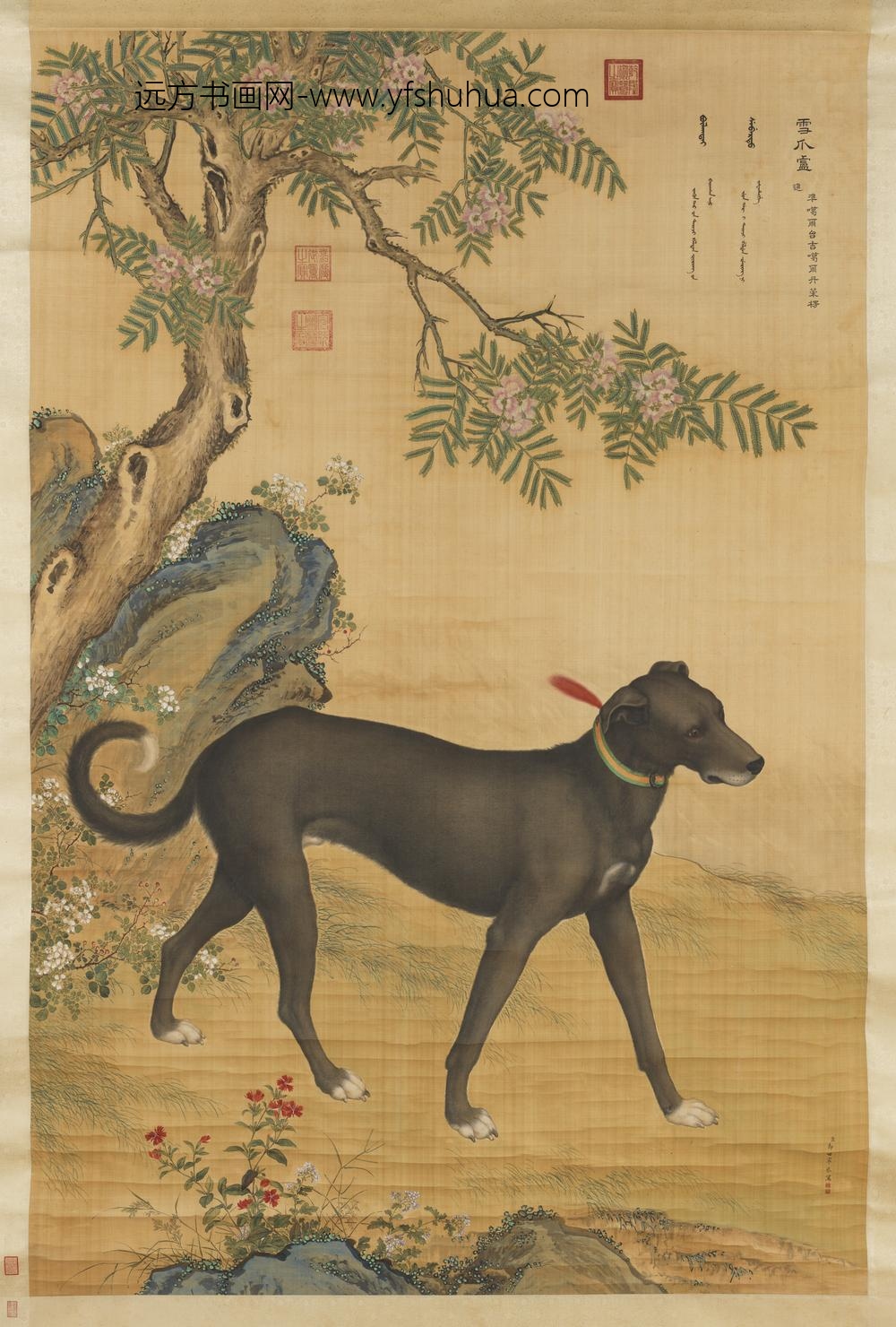 清郎世宁画十骏犬雪爪卢轴