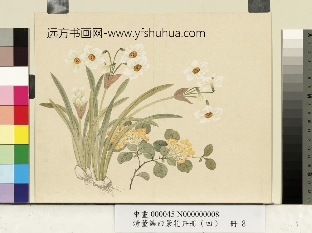 清_董诰四景花卉（四）册冬景花卉之八