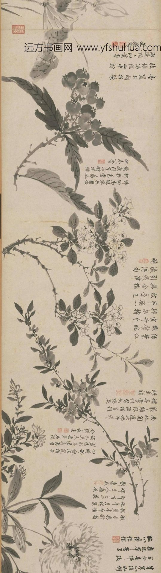 周之冕百花图卷_4