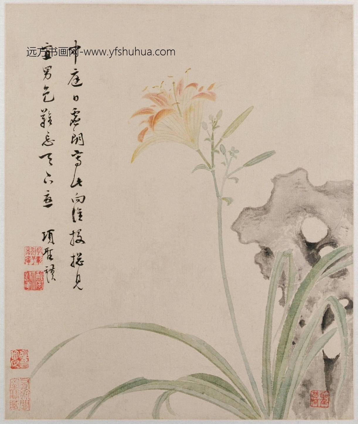 明-项圣谟花卉草虫册-新00146935-2-8