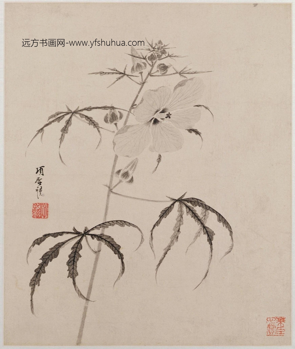 明-项圣谟花卉草虫册-新00146935-3-8