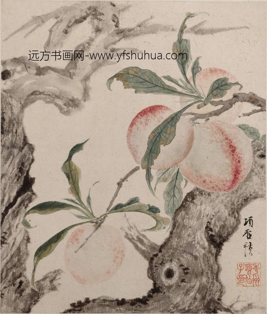 明-项圣谟花卉草虫册-新00146935-6-8