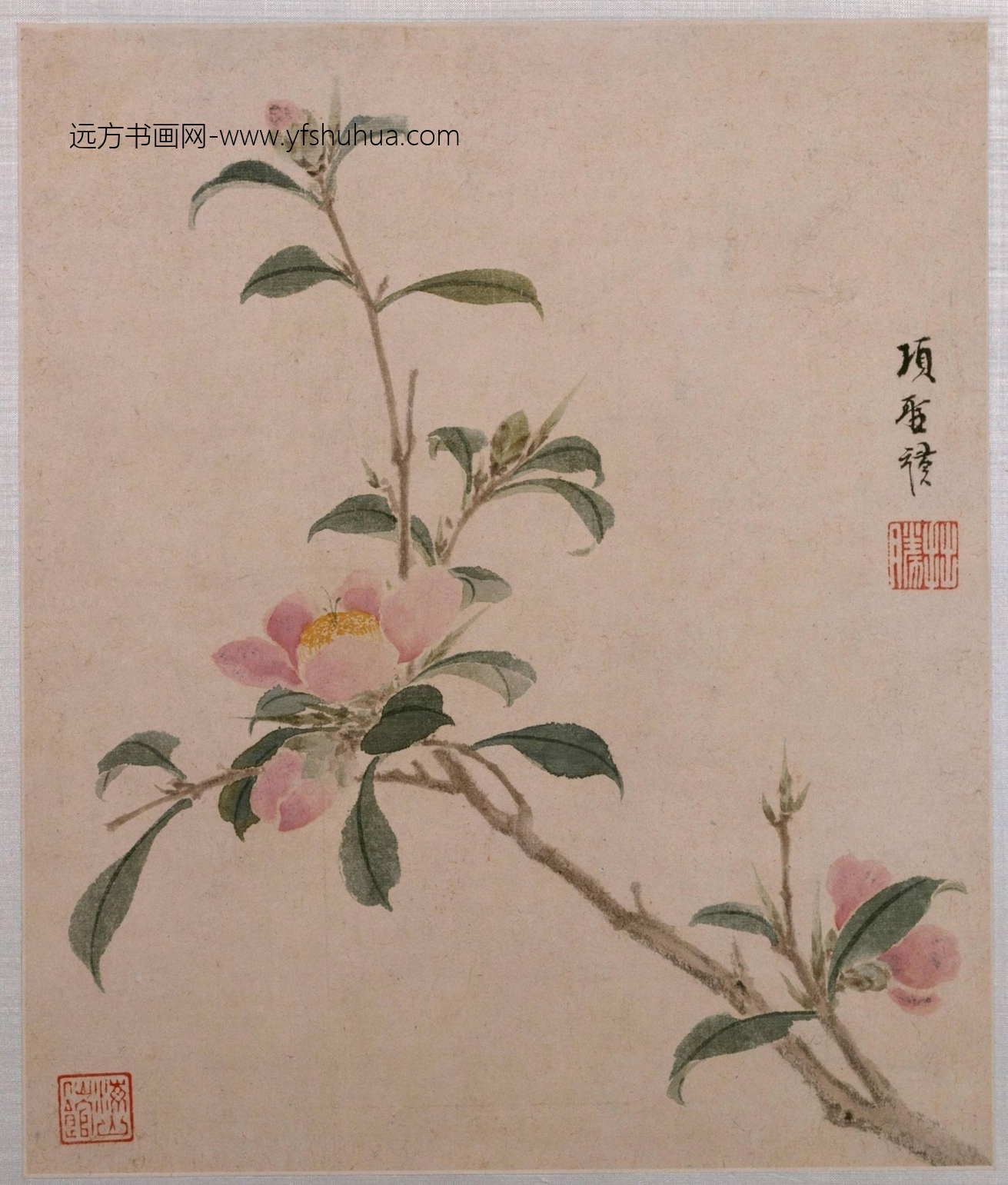 明-项圣谟花卉草虫册-新00146935-7-8