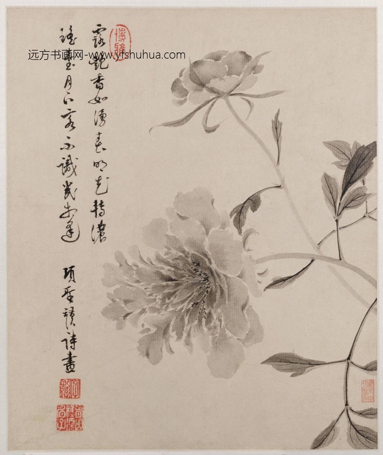 明-项圣谟花卉草虫册-新00146935-8-8