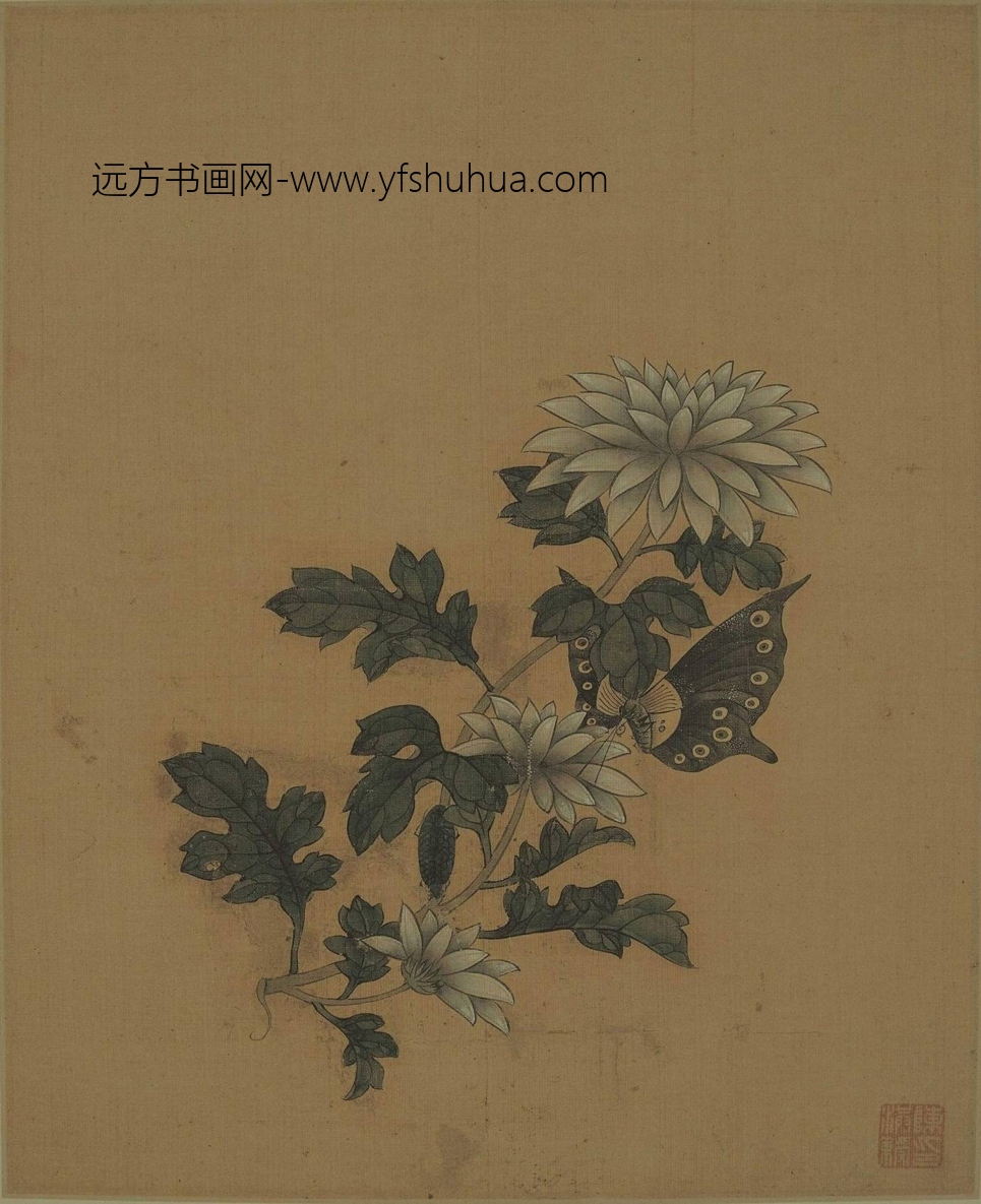 明_陈洪绶_花鸟册(谢稚柳题跋本)_2