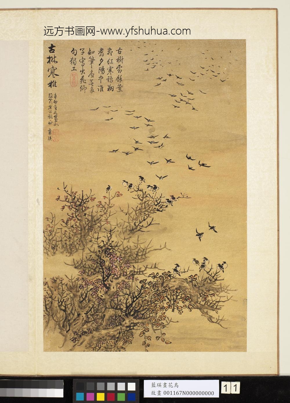 明蓝瑛画花鸟册红叶飞鸦