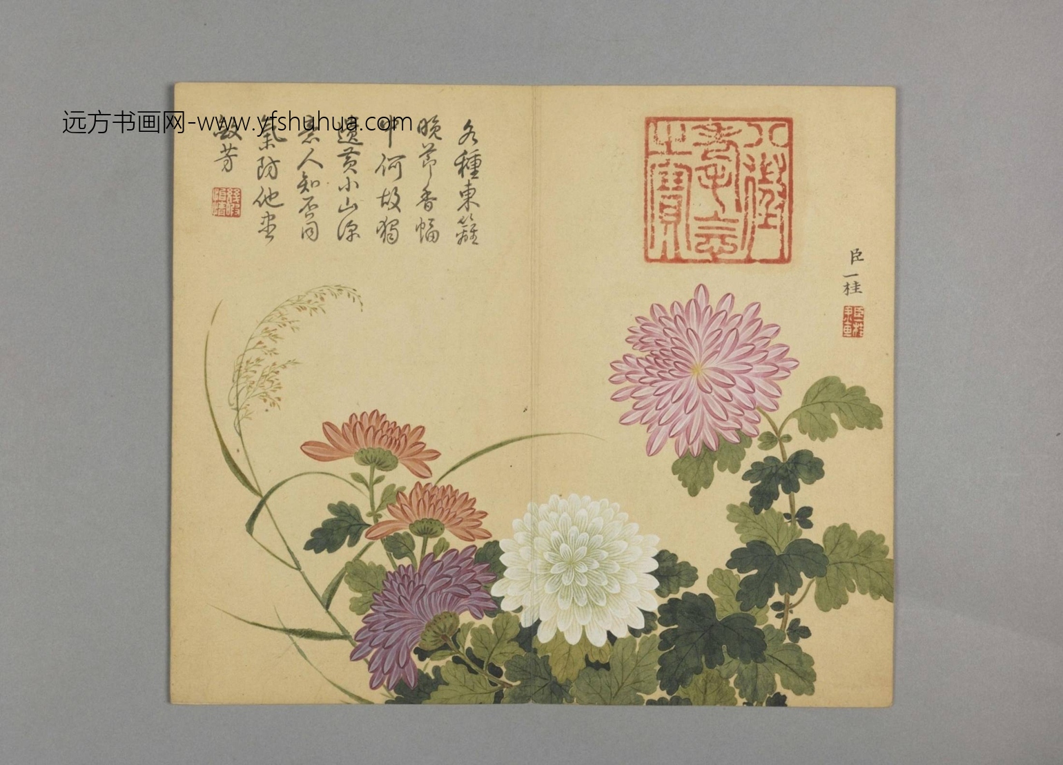 清-邹一桂花鸟草虫图册-新00147112-10-12