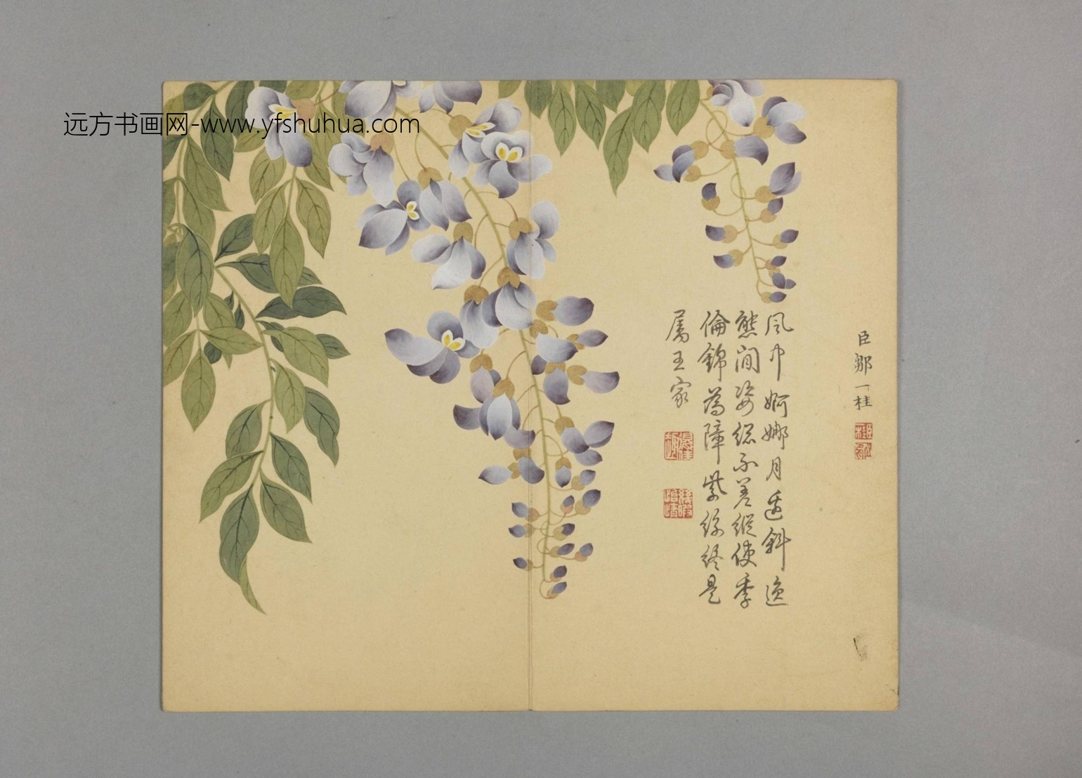 清-邹一桂花鸟草虫图册-新00147112-4-12