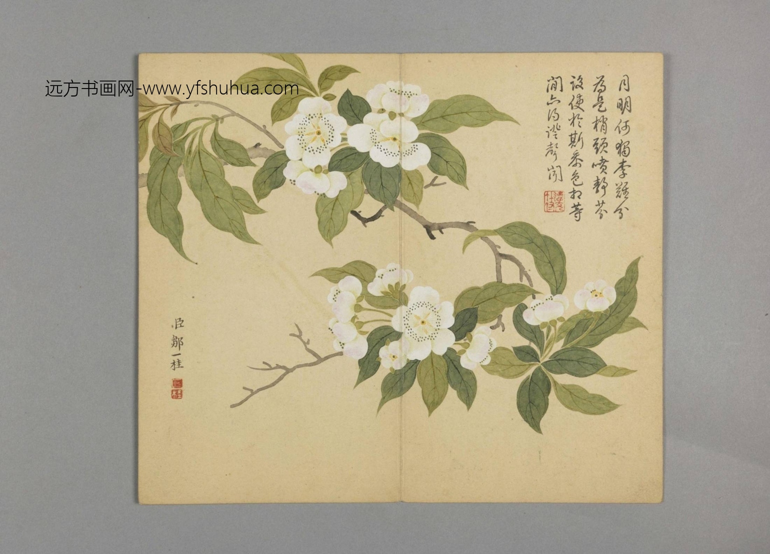 清-邹一桂花鸟草虫图册-新00147112-5-12