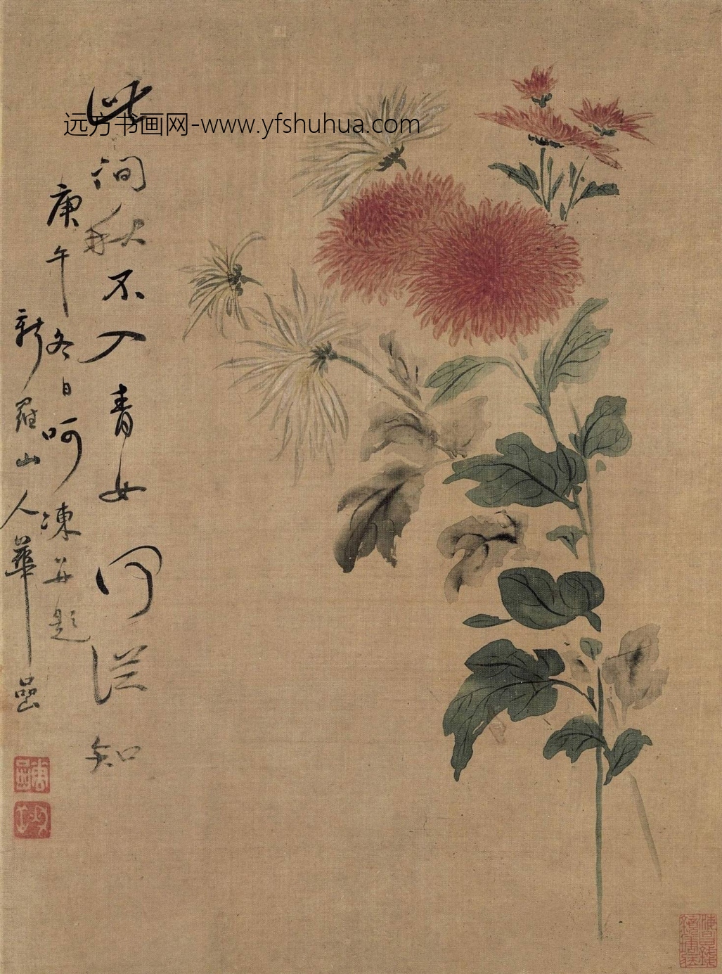 清_华嵒_花鸟草虫图八_2