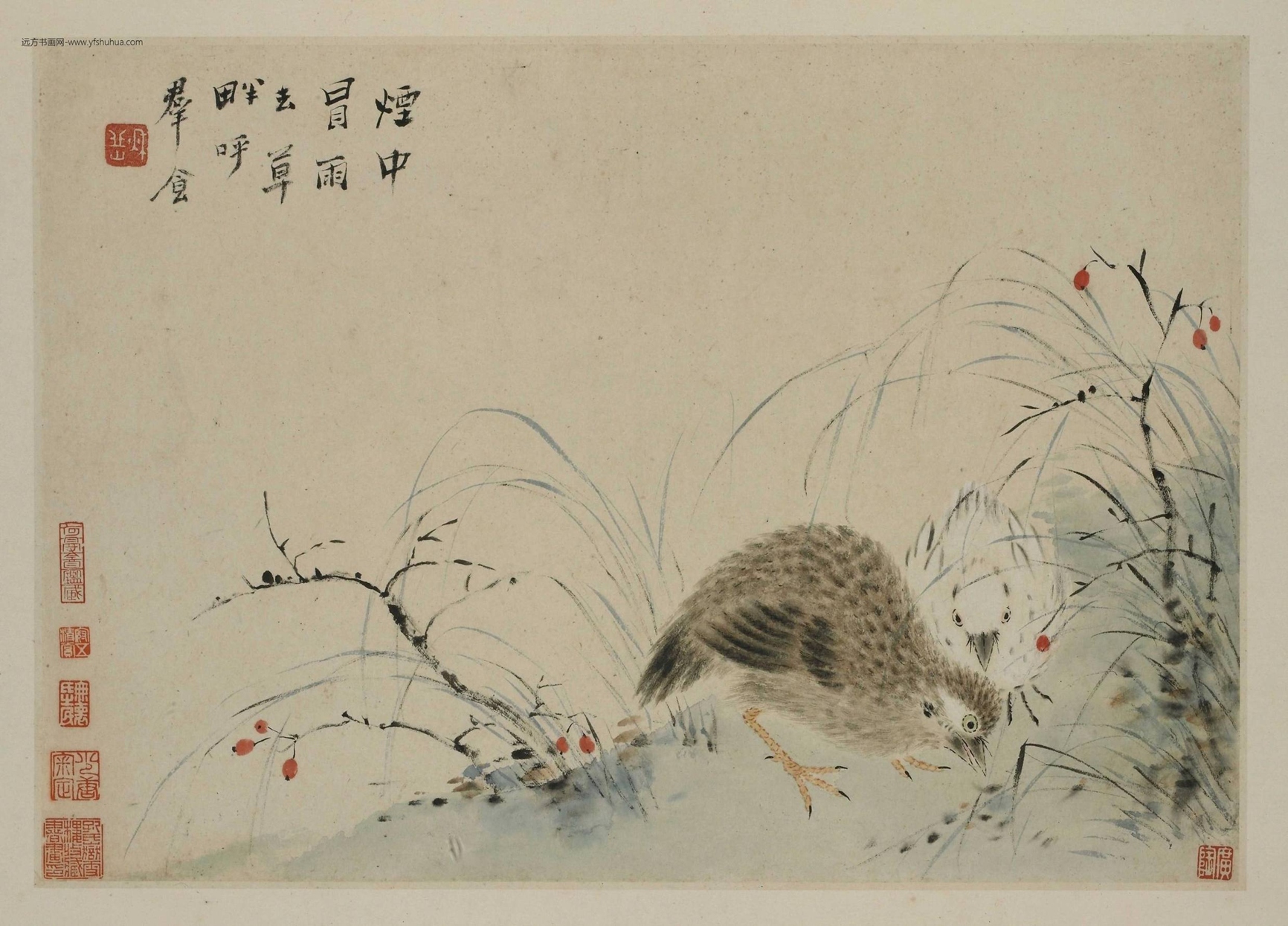 清_华嵒_花鸟草虫图册8帧_7