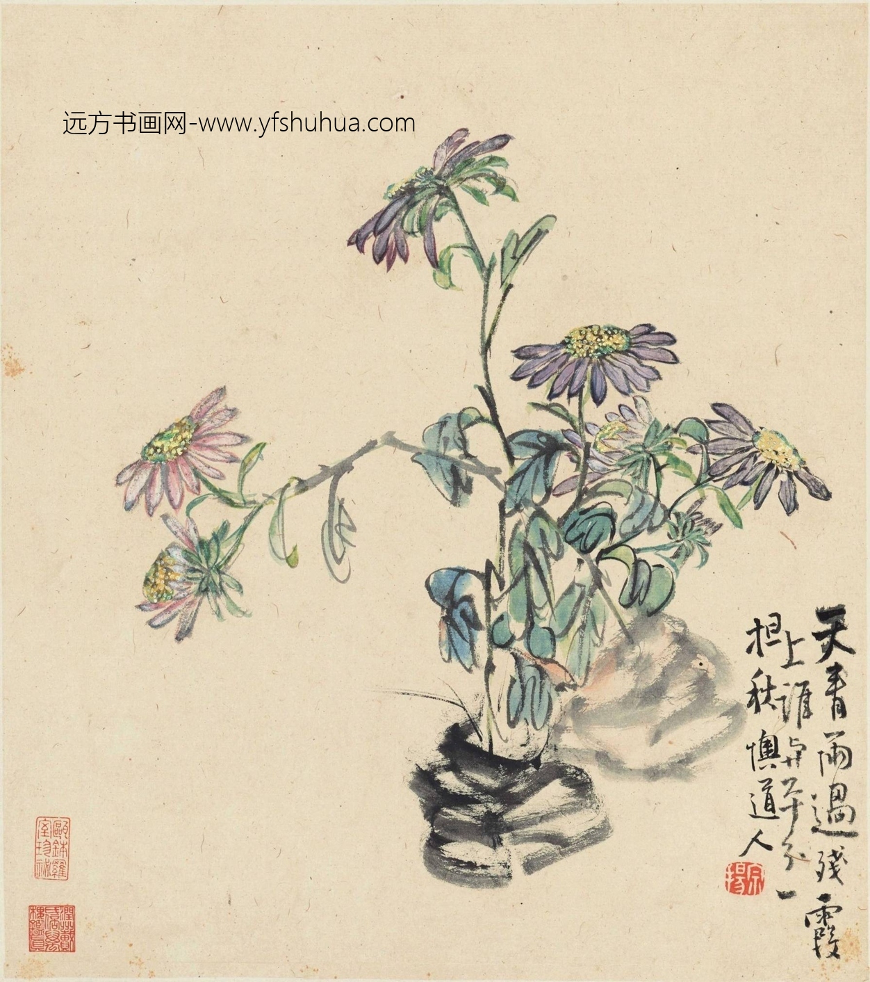 清_李鱓_花卉十二开_8