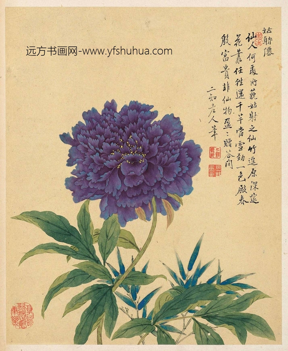 清_邹一桂_花卉八开_3