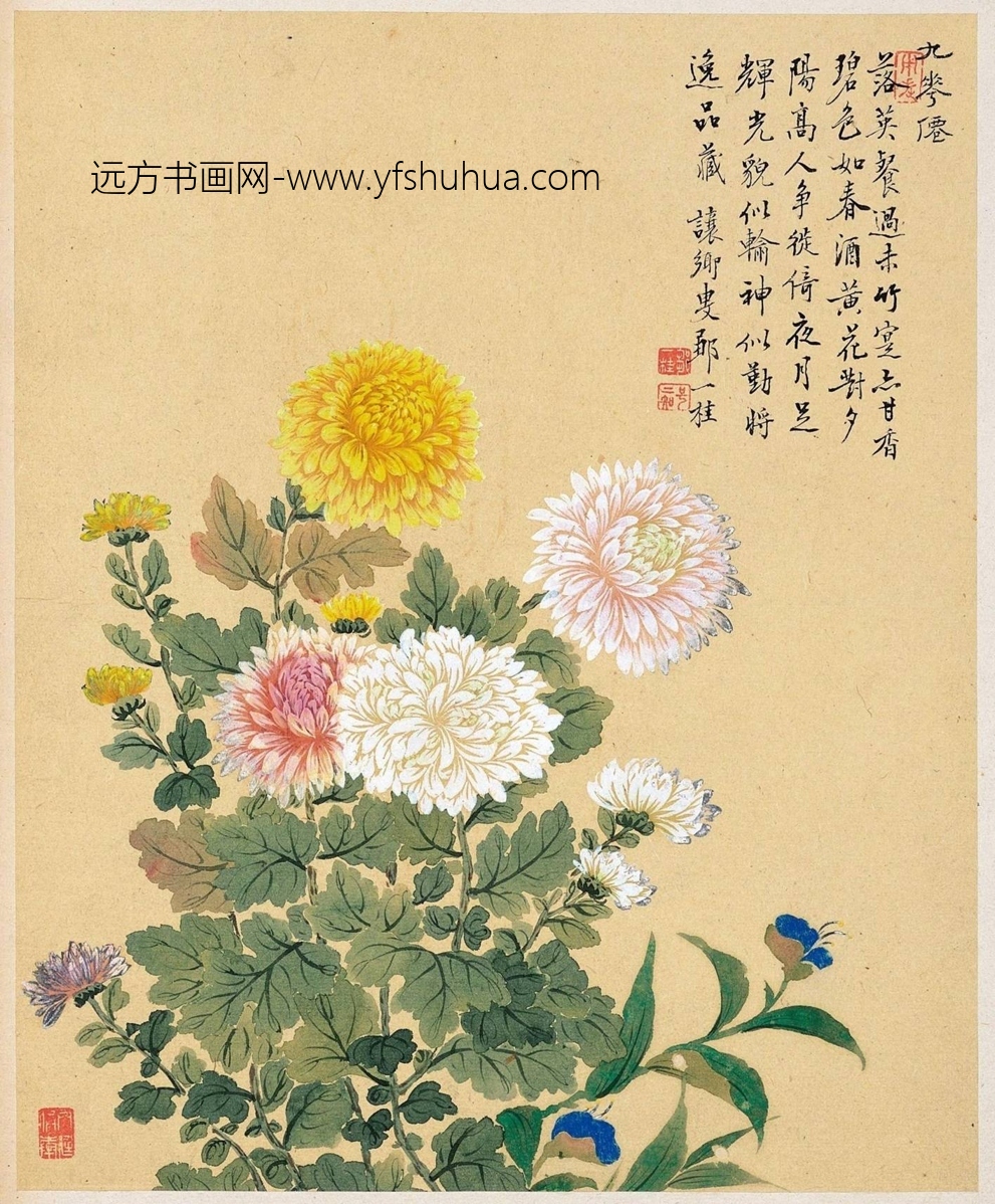 清_邹一桂_花卉八开_4