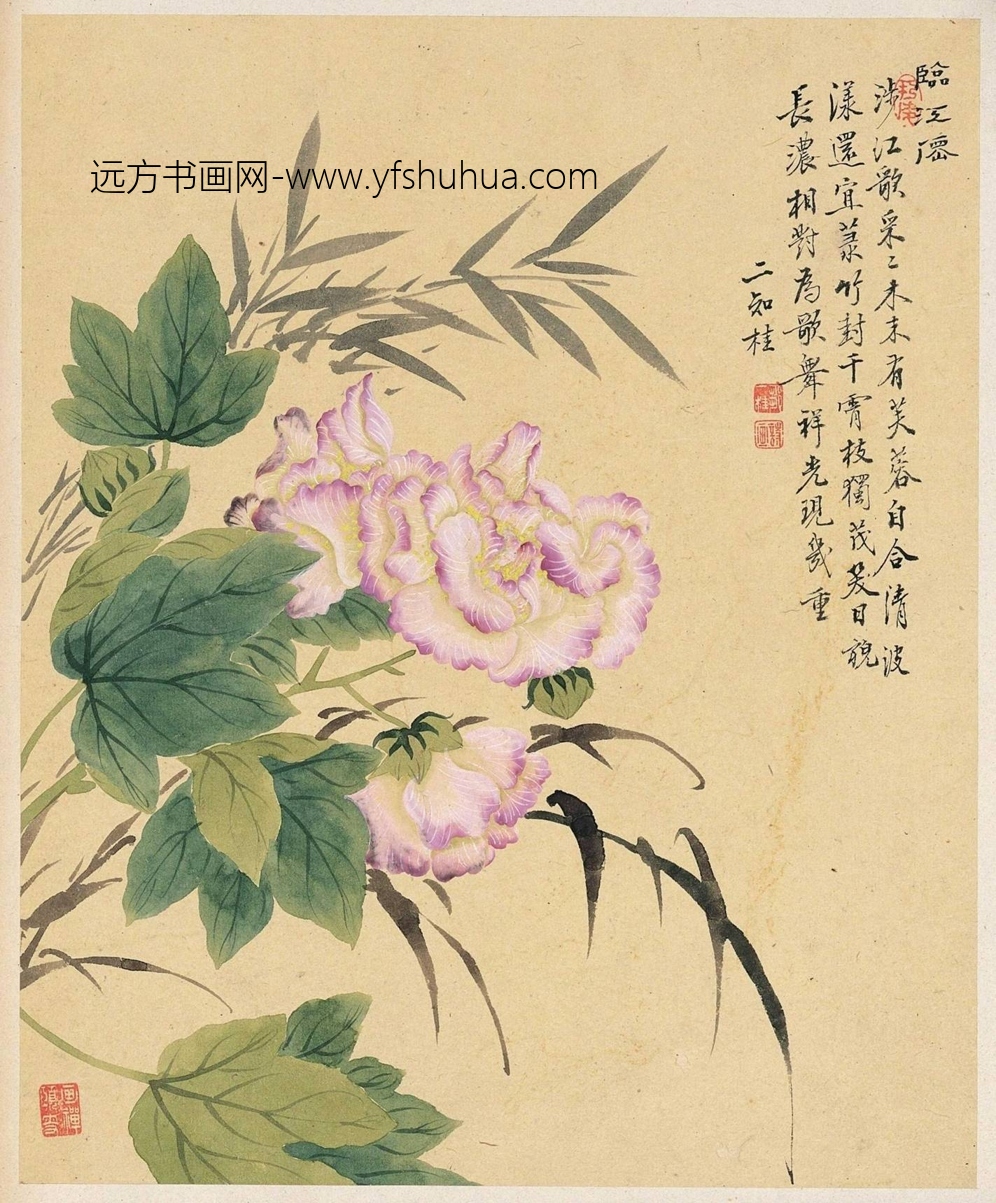 清_邹一桂_花卉八开_5