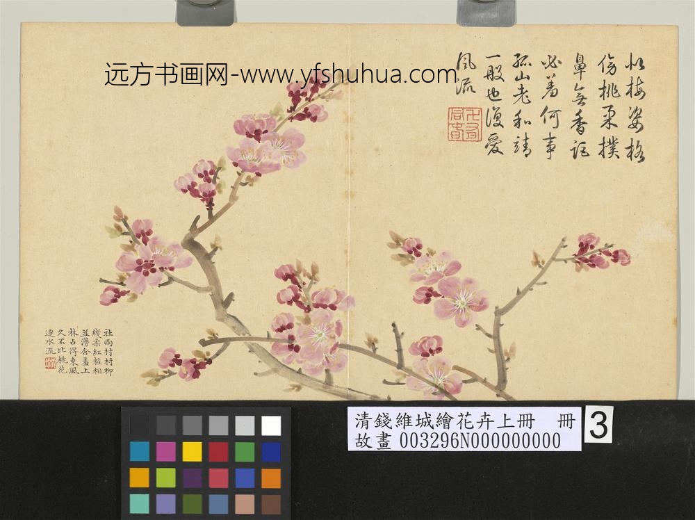 清钱维城绘花卉（上）册 杏花