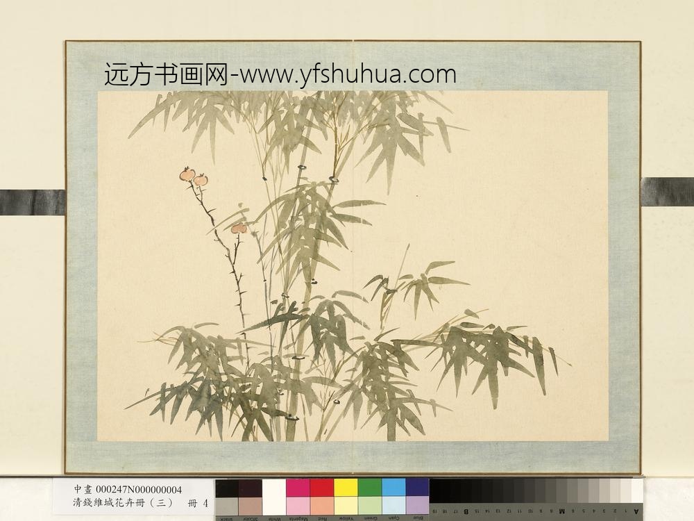 清钱维城花卉册（三）册画竹之四