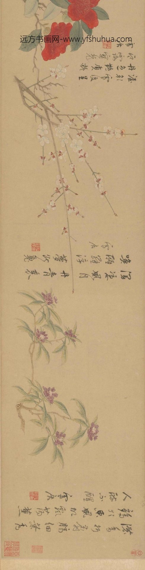 孙克弘百花图卷_5