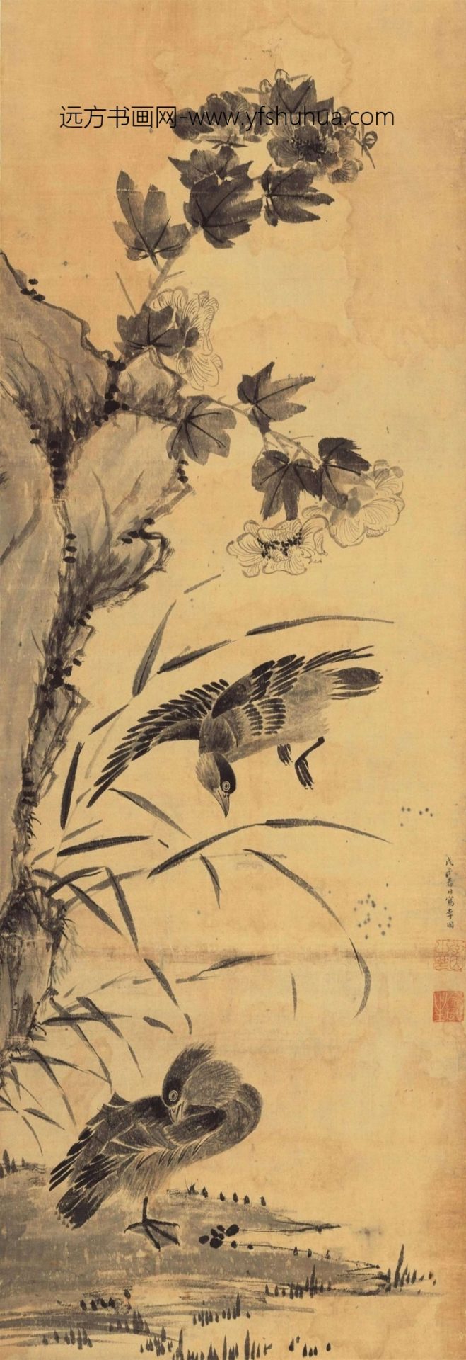 明_李因_芙蓉鸳鸯图