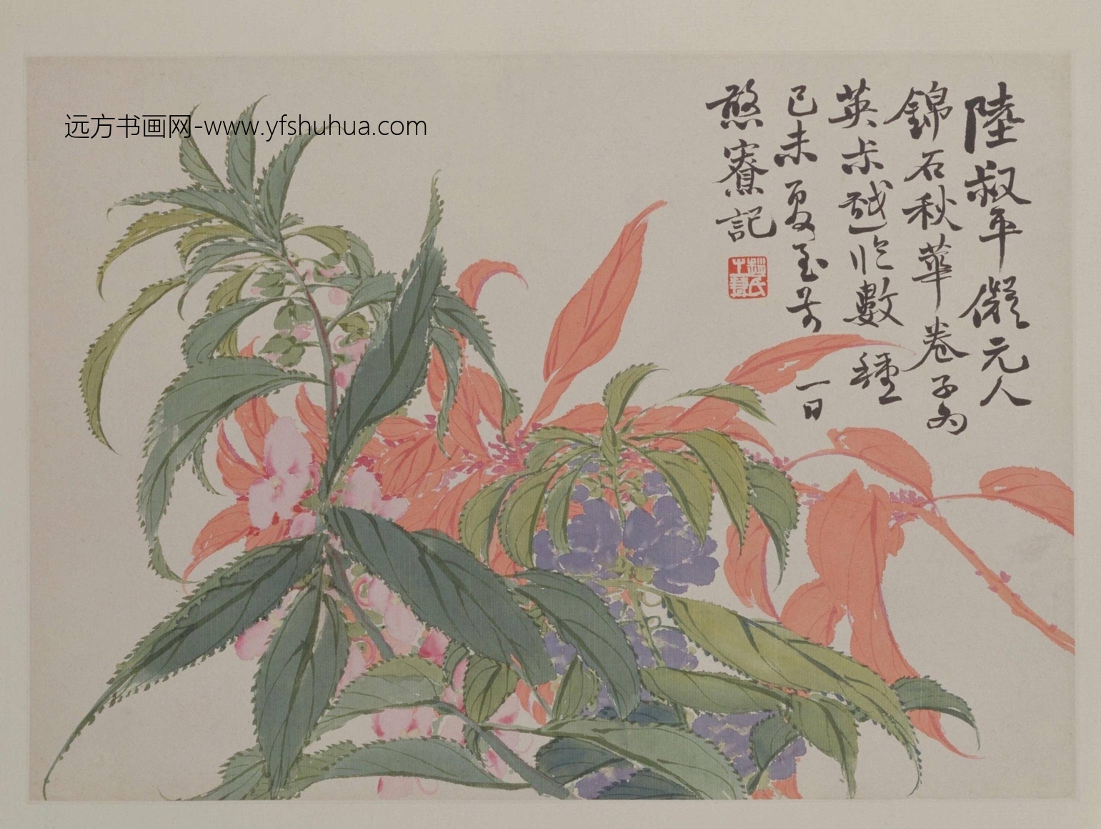 清-赵之谦花卉册-秋花页-新00017245-14-14