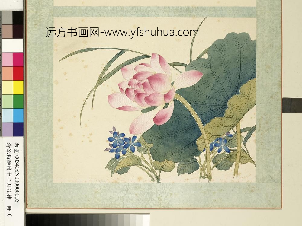 清沈振麟绘十二月花神册 莲花