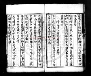 00105-白房雜興_(明)朱袞撰_明嘉靖間(1522-1566)永州刊本1