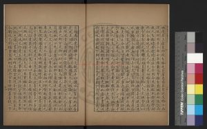 00487-釆石瓜洲斃亮記_(宋)蹇駒撰_穴硯齋鈔本1