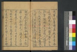 01085-赤水玄珠_(明)孫一奎撰_明萬曆間(1573-1620)新安孫氏原刊清西冷吳氏印本1