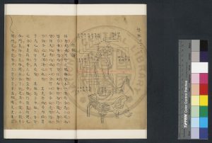 01995-道養初乘忠書_(清)粘本盛編_舊鈔本1