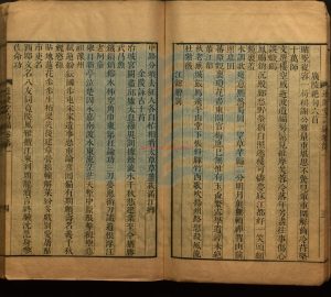 01997-道腴堂詩編〈同書名頁、函脊題〉清鮑鉁撰_清雍正間刻《道腴堂集十種》本。1