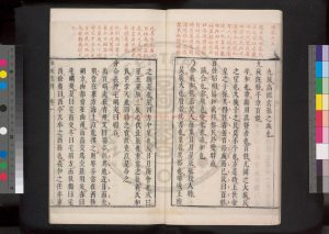 02269-東坡書傳_(宋)蘇軾撰_清順治乙未(十二年_1655)傅山手寫本1