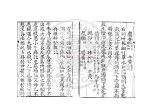 02373-董氏小兒斑疹備急方論_(宋)董汲撰_宋刊八行大字本配補清昭文張氏雙芙閣影鈔清陳世傑仿宋刊本1