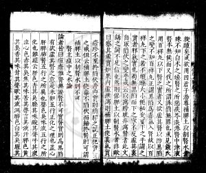 02410-痘疹格致要論_(明)萬全撰_明嘉靖間(1522-1566)羅田萬氏原刊本1