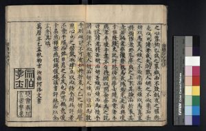 04114-漢書評林_(漢)班固撰_日本明曆三年(1657)林和泉掾刊本1