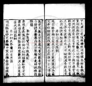 04510-許敬宗集_(唐)許敬宗撰_明九行活字本1