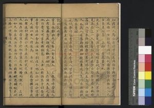 04828-皇明卓異記_(明)羅弘運撰_明天啟間(1621-1627)刊本1