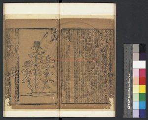 05845-經史證類大觀本草_(宋)唐慎微撰_元大德壬寅(六年_1302)宗文書院刊本1