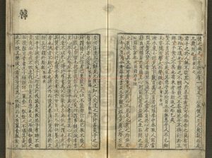 05884-精騎_南宋孝宗光宗間(1127-1279)婺州永康清渭陳宅刊本1