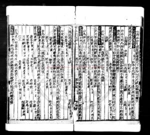 06295-魁本袖珍方大全_(明)李恆撰_明嘉靖丙戌(五年_1526)詹氏西清書堂刊本1