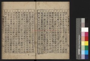 07993-明齋遺稿別_尹拯撰_清康熙間(1662-1722)朝鮮活字本1