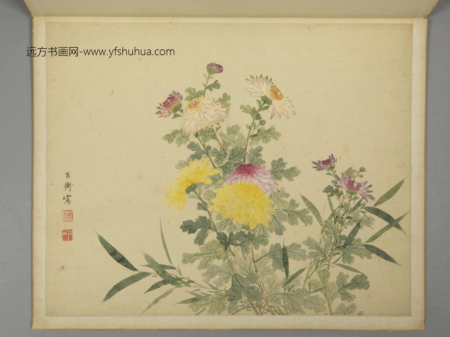 清-周铨花鸟昆虫册-新00101038-9-12