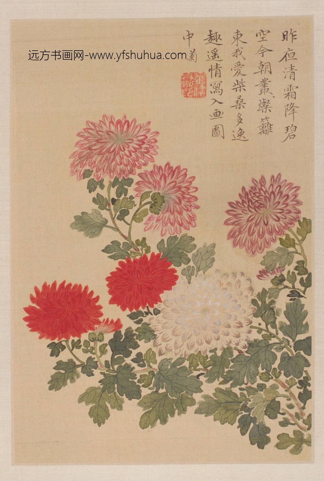 清-金礼嬴花卉册-新00146508-5-10