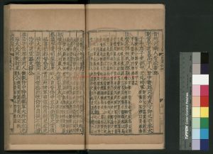 08833-前漢書_(漢)班固撰_明萬曆二十五年(1597)北監刊十七史本1