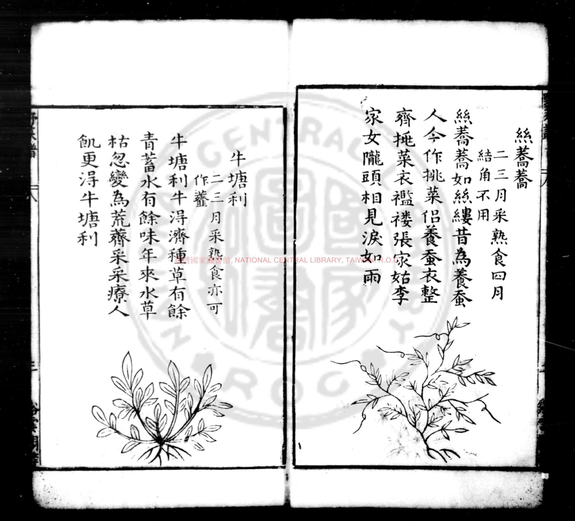 12155-王西樓先生野菜譜_題(明)王磐撰_明萬曆丙戌(十四年)仁和張氏谿雲閣刊本1